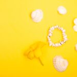 Reddybook Review: How This Innovative Platform Enhances Learning and Integrates with 11xplay